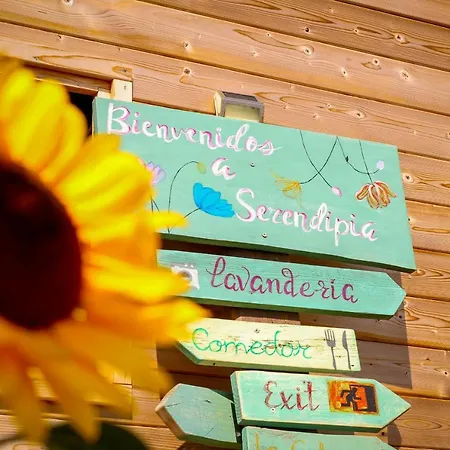 Macaronesia Spa, Sauna Y Piscina By Deihu Experiences